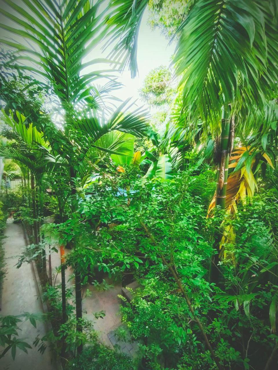 Green Stay Village Ciudad de Siem Riep Exterior foto